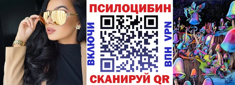 где купить   Бирюсинск  Галлюциногенные грибы GOLDEN TEACHER 